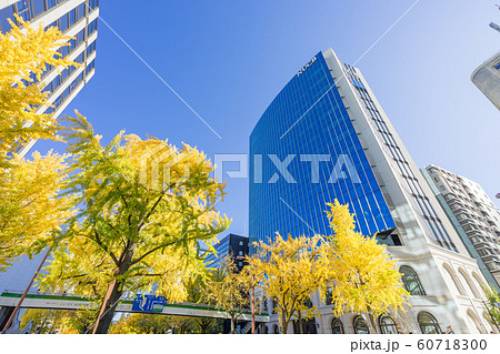 名古屋都市風景　桜通の銀杏並木　名古屋商科大学 NUCB　前 60718300