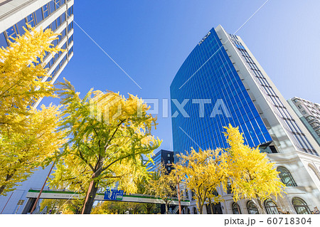 名古屋都市風景 桜通の銀杏並木 名古屋商科大学 NUCB 前 名古屋都市風景 桜通の銀杏並木 名古屋商科大学 NUCB 前 60718304