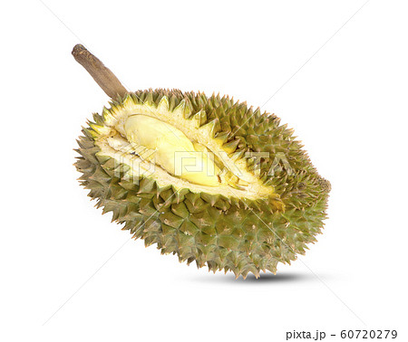 durian fruit an isolated on white background 60720279