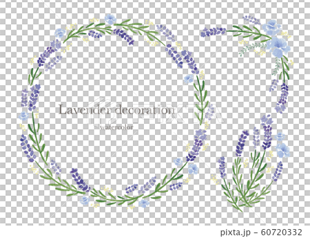 Lavender watercolor decoration 60720332