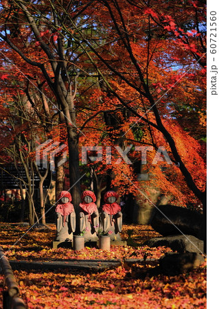 12月　世田谷154境内地蔵と紅葉･浄真寺(九品仏) 60721560