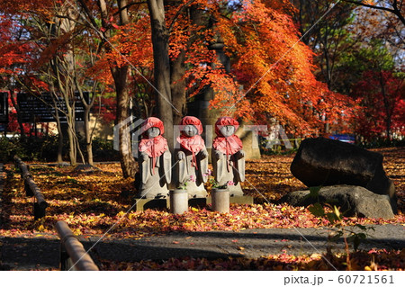 12月 世田谷153境内地蔵と紅葉・浄真寺(九品仏) 12月 世田谷153境内地蔵と紅葉・浄真寺(九品仏) 60721561