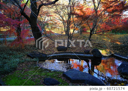 12月　世田谷143本堂龍護殿の庭園と紅葉・九品仏浄真寺 60721574