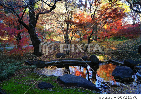 12月　世田谷142本堂龍護殿の庭園と紅葉・九品仏浄真寺 60721576