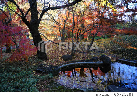 12月　世田谷138本堂龍護殿の庭園と紅葉・九品仏浄真寺 60721583