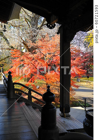 12月　世田谷131本堂龍護殿と紅葉・九品仏浄真寺 60721593