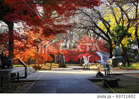 12月 世田谷122本堂龍護殿と紅葉・九品仏浄真寺 12月 世田谷122本堂龍護殿と紅葉・九品仏浄真寺 60721602