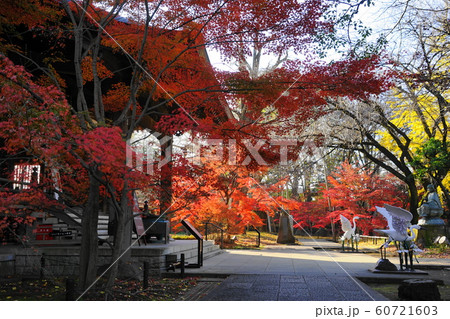 12月　世田谷121本堂龍護殿と紅葉・九品仏浄真寺 60721603