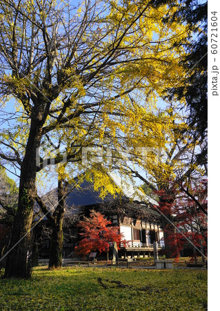12月 世田谷120本堂龍護殿と紅葉・九品仏浄真寺 12月 世田谷120本堂龍護殿と紅葉・九品仏浄真寺 60721604