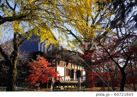 12月 世田谷119本堂龍護殿と紅葉・九品仏浄真寺 12月 世田谷119本堂龍護殿と紅葉・九品仏浄真寺 60721605