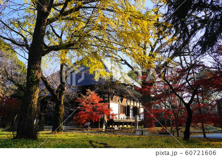 12月　世田谷118本堂龍護殿と紅葉・九品仏浄真寺 60721606
