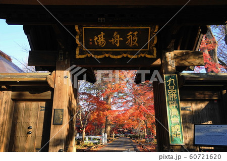 12月 世田谷104九品仏浄真寺総門と紅葉 12月 世田谷104九品仏浄真寺総門と紅葉 60721620