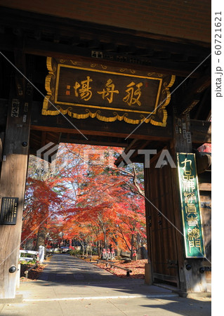 12月 世田谷103九品仏浄真寺総門と紅葉 12月 世田谷103九品仏浄真寺総門と紅葉 60721621