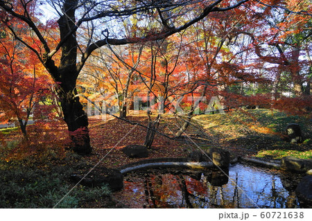 12月 世田谷86本堂龍護殿の庭園と紅葉・九品仏浄真寺 12月 世田谷86本堂龍護殿の庭園と紅葉・九品仏浄真寺 60721638