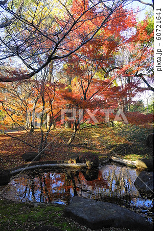 12月　世田谷83本堂龍護殿の庭園と紅葉・九品仏浄真寺 60721641