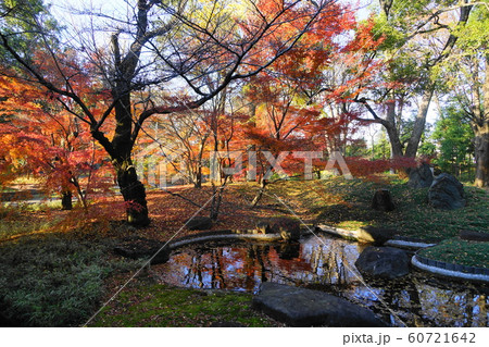 12月　世田谷82本堂龍護殿の庭園と紅葉・九品仏浄真寺 60721642