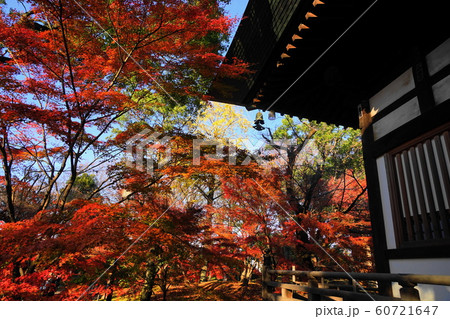 12月 世田谷77本堂龍護殿と紅葉・九品仏浄真寺 12月 世田谷77本堂龍護殿と紅葉・九品仏浄真寺 60721647
