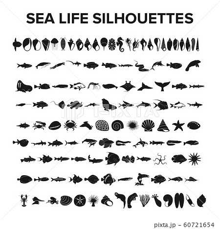Sea life collection - vector illustration Sea life collection - vector illustration 60721654