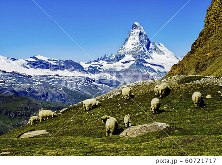 マッターホルン遠望 60721717