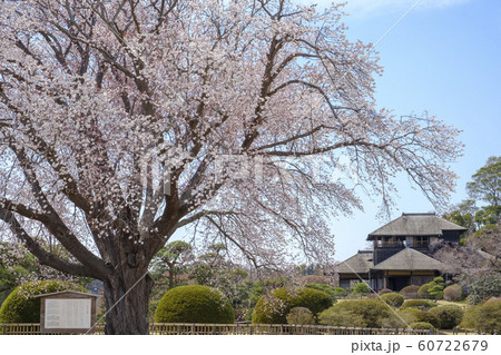 水戸市偕楽園と好文亭 水戸市偕楽園と好文亭 60722679
