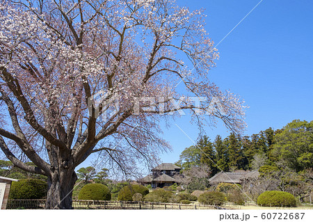 水戸市偕楽園と好文亭 60722687