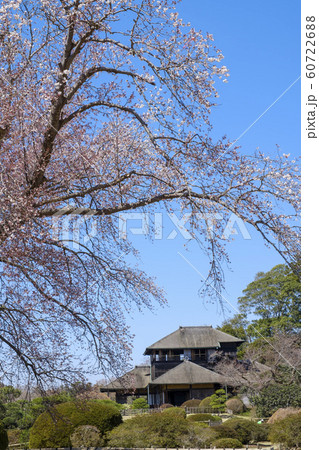 水戸市偕楽園と好文亭 60722688