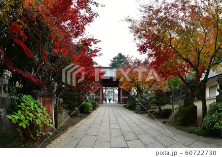 大宝八幡宮 60722730