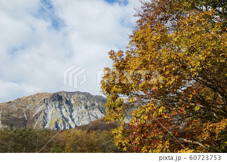 大山二ノ沢（鳥取県） 60723753