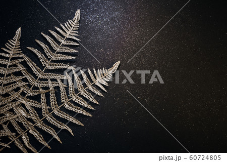 Christmas festive dark background. Shiny branches of fern and openwork tree on a black background with sparkles. Minimalism poster flat lay 60724805