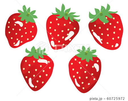 5つの苺のイラストのイラスト素材