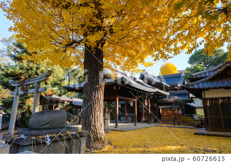 京都 桃山天満宮 御香宮神社境内 60726615