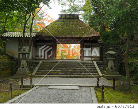 京都 法然院 11月 最盛期の紅葉 京都 法然院 11月 最盛期の紅葉 60727912