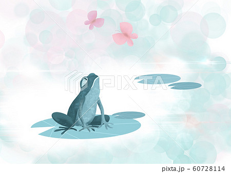 A frog on a leaf of a water lily looks up at 60728114