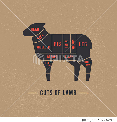 Cutting sheep meat painted in a vector. 60728291