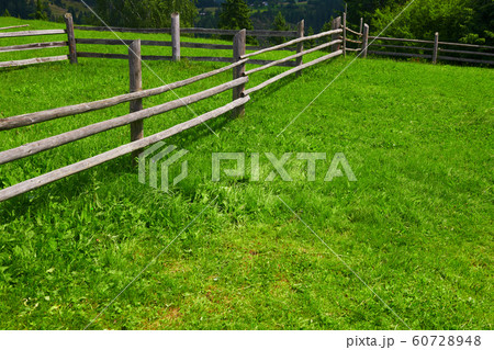wooden fence on a ranch closeup, beautiful summer 60728948