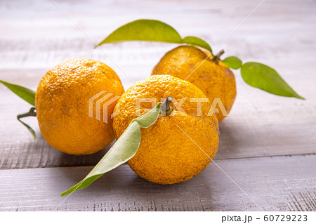 ゆず 60729223