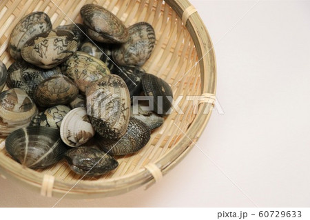 アサリ アサリ 60729633