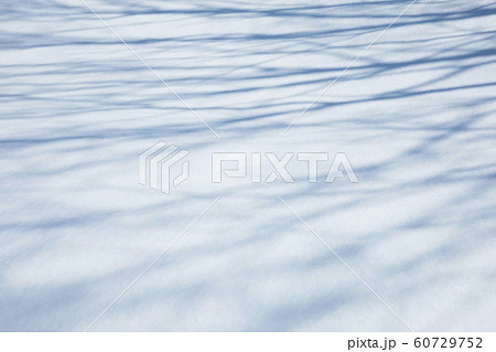 白銀の世界 雪と木の影の写真素材