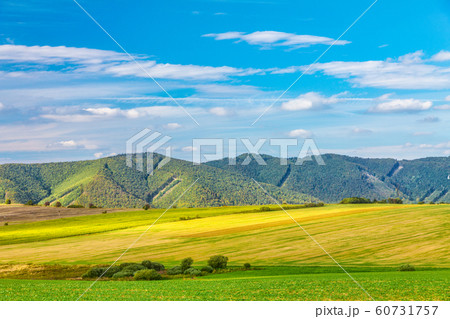 Rural landscape, fields with blue sky and clouds. 60731757