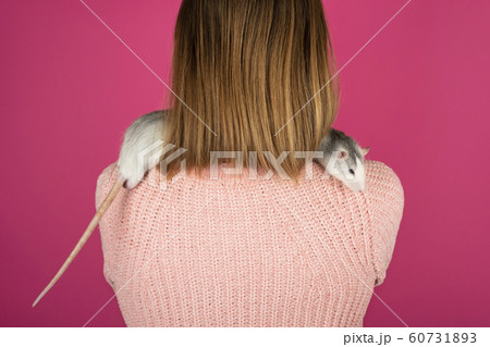Two funny gray rats are sitting on the girl 60731893