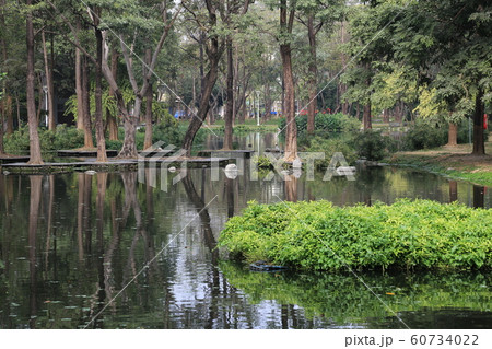 台湾_高雄_大東湿地公園 台湾_高雄_大東湿地公園 60734022