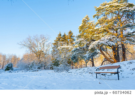 Bench in the woods near Stockholm. Scandinavian winter. Swedish nature wallpaper 60734062