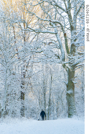 Bright winter day in Sweden. Frosted trees and snowy ground. Winter in scandinavia. Landscape wallpaper. Bright winter day in Sweden. Frosted trees and snowy ground. Winter in scandinavia. Landscape wallpaper. 60734076