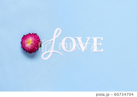 Flower and word Love on a light blue background Flower and word Love on a light blue background 60734704