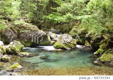 【岐阜県】円原川 【岐阜県】円原川 60735393