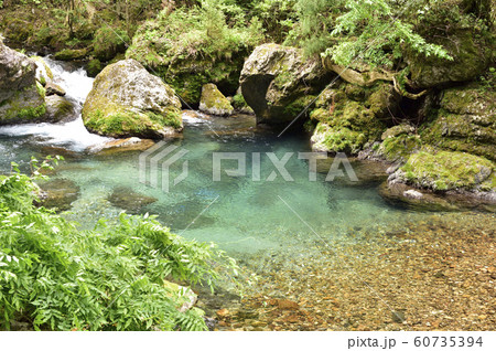 【岐阜県】円原川 60735394