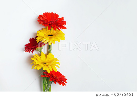 Colorful bunch of gerbera flowers on white backgrpund. Colorful bunch of gerbera flowers on white backgrpund. 60735451