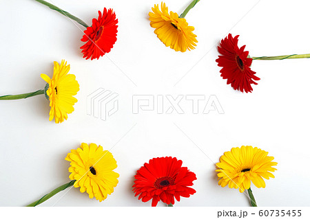 Gerbera flowers of red and yellow color arranged into a circle 60735455