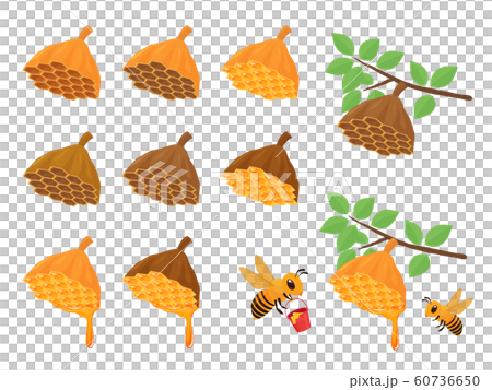 Honeycomb illustration_set Honeycomb illustration_set 60736650