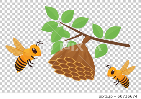 蜜蜂の巣のイラスト 空っぽ 枝 2匹のイラスト素材